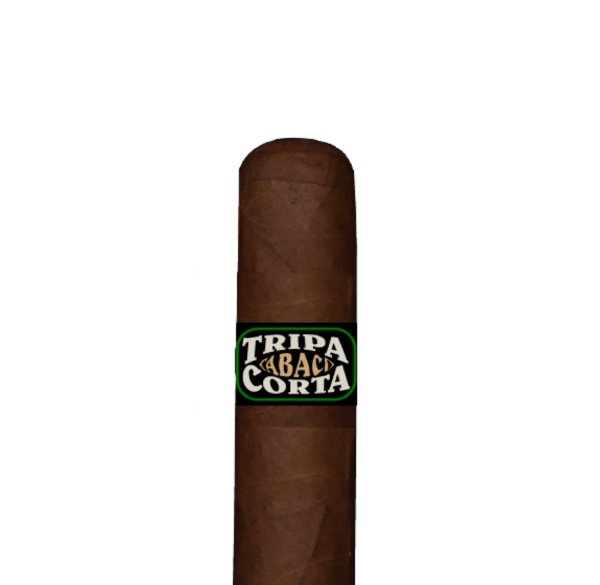 TRIPA CORTA ROBUSTO